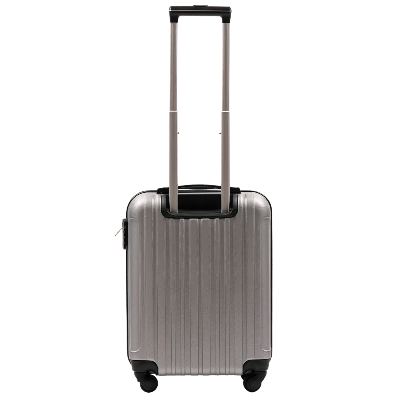 WALIZKA KABINOWA WINGS FLAMINGO 20" SILVER FLAMINGO COLLECTION
