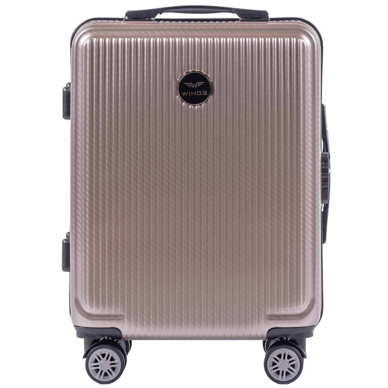 Valise cabine Wings PC African Eagle 2.0 20" BRONZE