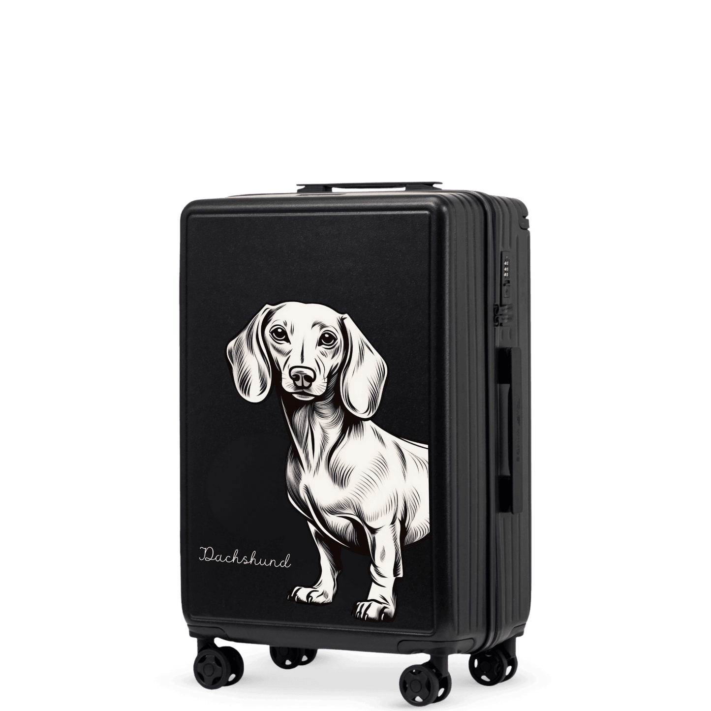 Kabínový kufor Wings ABS+ 20" Customized BLACK JAMNIK