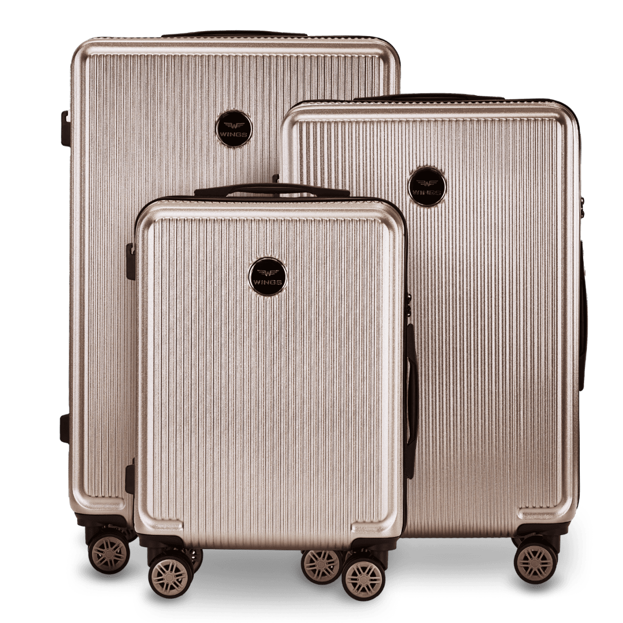 Wings PC African Eagle 2.0 BRONZE 3 kohvri komplekt