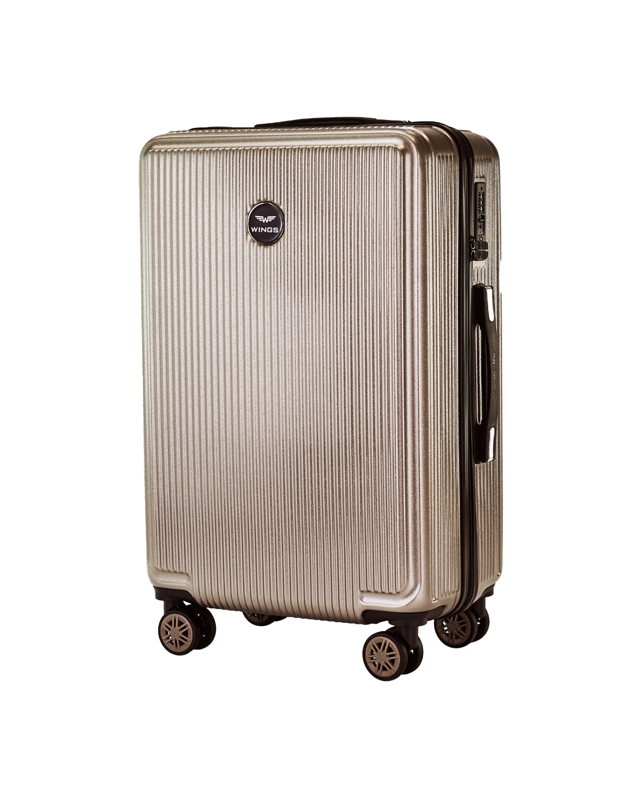 Wings PC African Eagle 2.0 BRONZE 3 kohvri komplekt