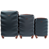 Set di 3 valigie Wings Albatross VERDE SCURO