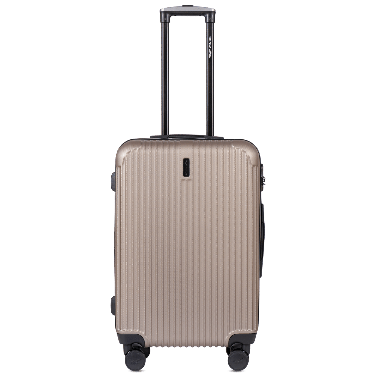 SET OF 3 SUITCASES WINGS EGRET CHAMPAGNE
