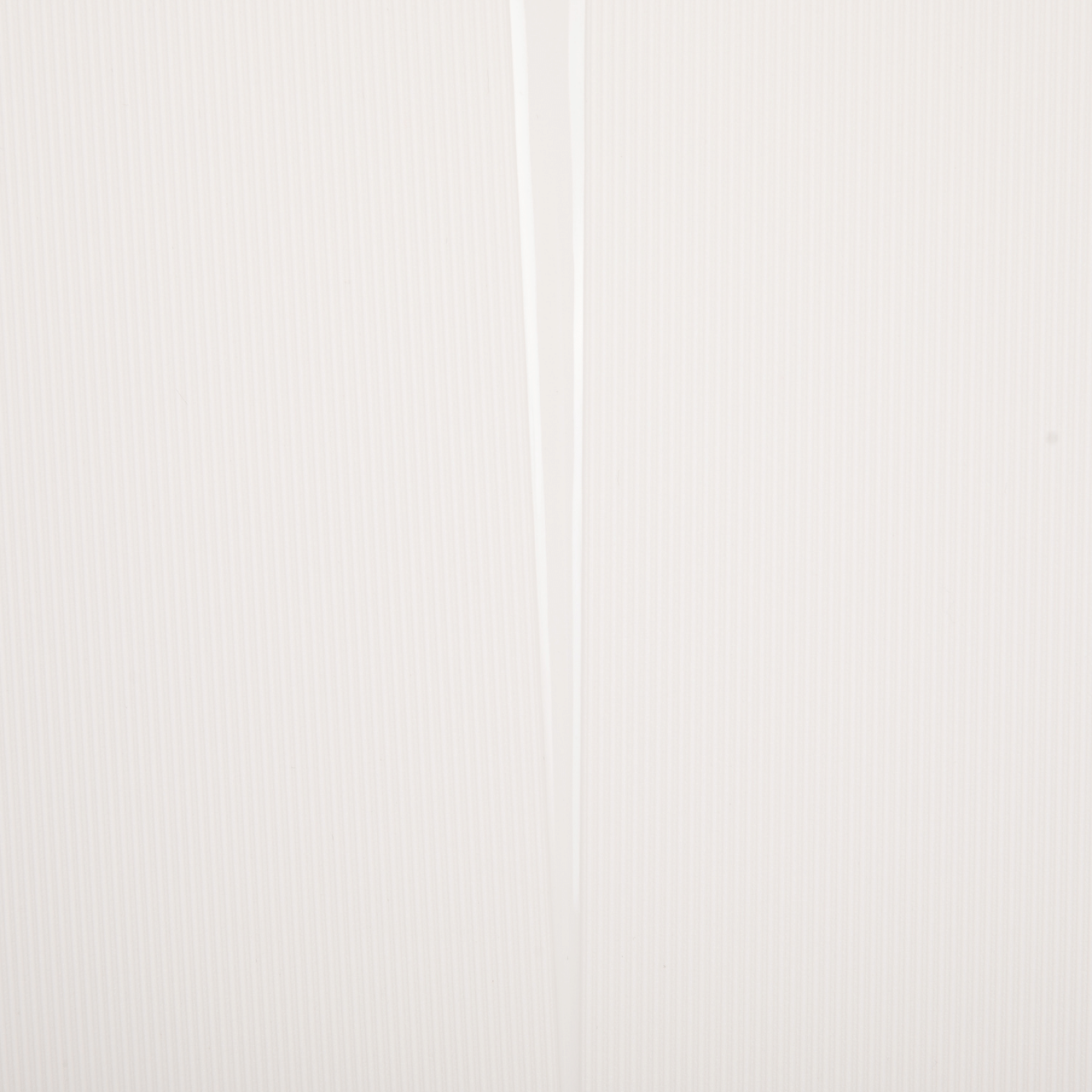 Walizka kabinowa Wings x Paprocki Brzozowski COCKATIEL – 20" WHITE WINGS X PAPROCKI BRZOZOWSKI