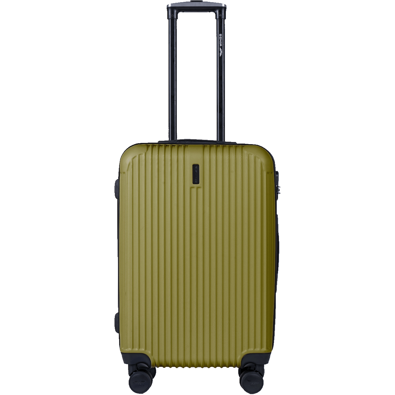ZESTAW 3 WALIZEK WINGS EGRET TEA GREEN EGRET COLLECTION