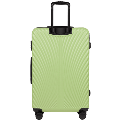 LARGE Case WINGS SWAN 28“ PISTACHIO