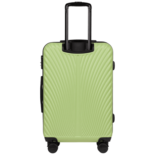 Medium Case WINGS SWAN 24“ PISTACHIO