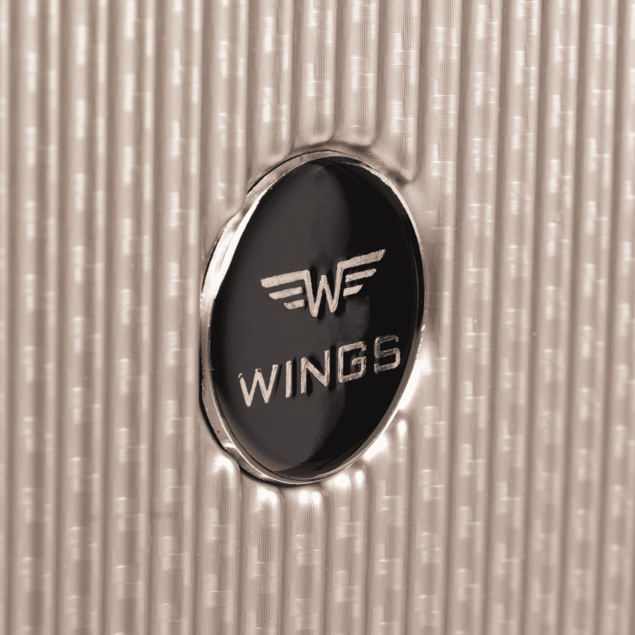 Grande valise Wings PC African Eagle 28'' ARGENT