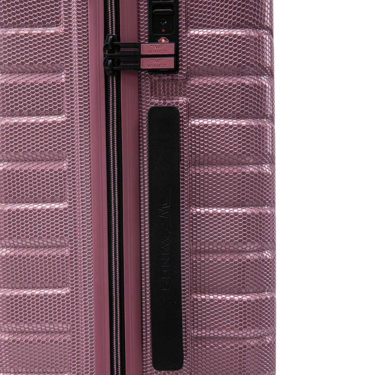Set di 3 valigie Wings CRAKE POLICARBONATO 100% CHAMPAGNE