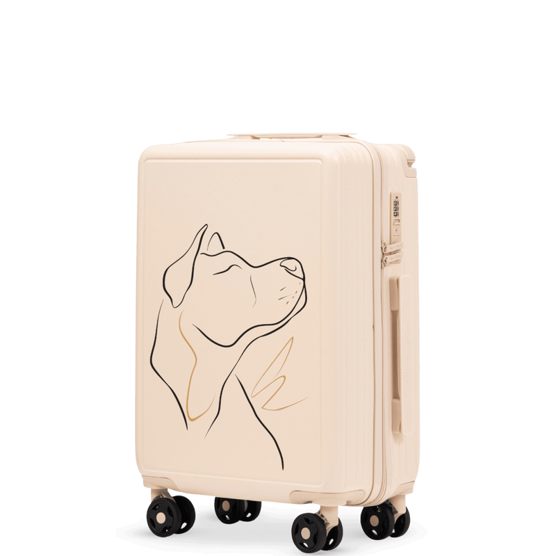 Kabinový kufr Wings ABS+ 20" Přizpůsobený ŠPINAVĚ BÍLÝ PES