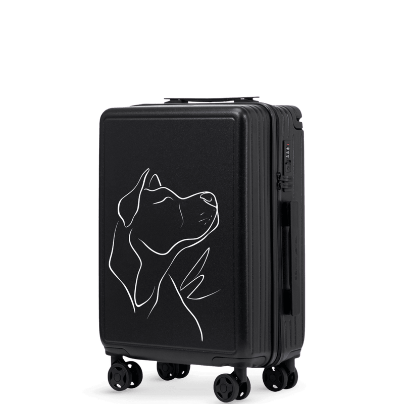 Kabinový kufr Wings ABS+ 20" Přizpůsobený ČERNÝ PES