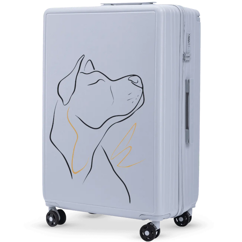 Suuri matkalaukku Wings ABS+ 28" Räätälöity PASTEL SININEN KOIRA