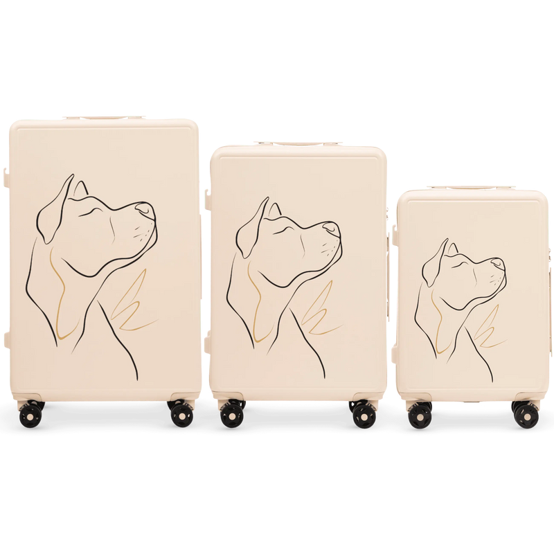 Set of 3 SUITCASES Wings ABS+ Customized DIRTY WHITE DOG