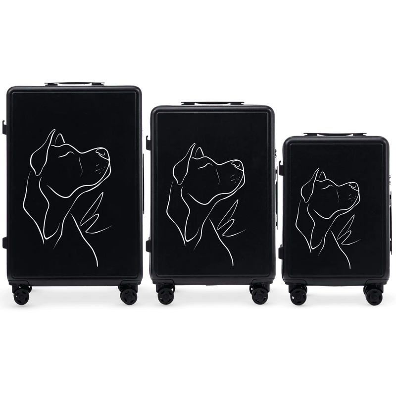 Set 3 valize Wings ABS+ personalizate BLACK DOG