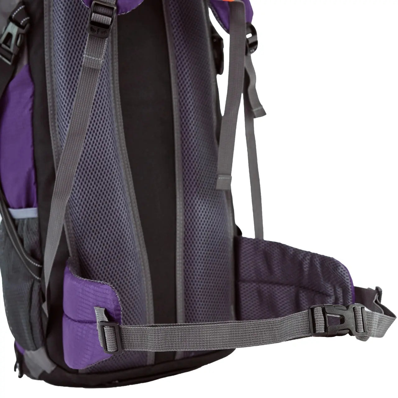 Duży plecak górski CANASTERO 30L - PURPLE CANASTERO COLLECTION
