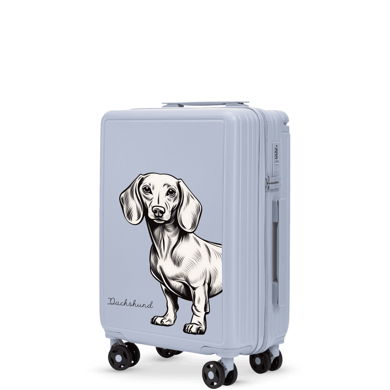 Kabinový kufr Wings ABS+ 20" Přizpůsobený PASTEL BLUE JAMNIK