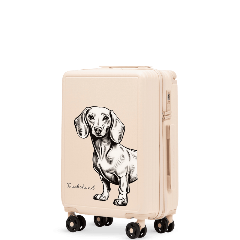 Kabinový kufr Wings ABS+ 20" Přizpůsobený ŠPINAVĚ BÍLÝ JAMNIK