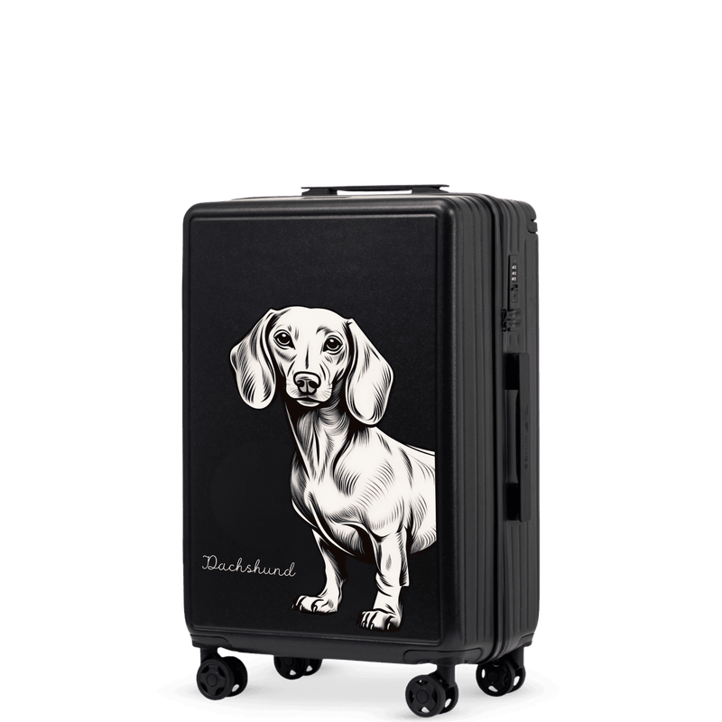 Kabinový kufr Wings ABS+ 20" Přizpůsobený ČERNÝ JAMNIK