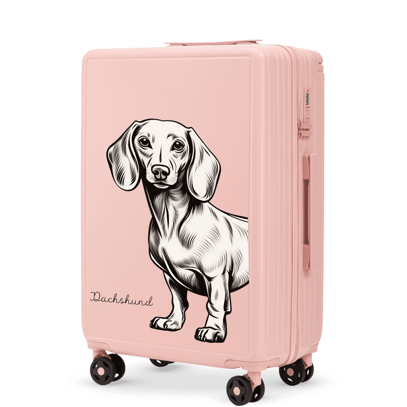 Mittlerer Koffer Wings ABS+ 24" Customized SOFT PINK JAMNIK