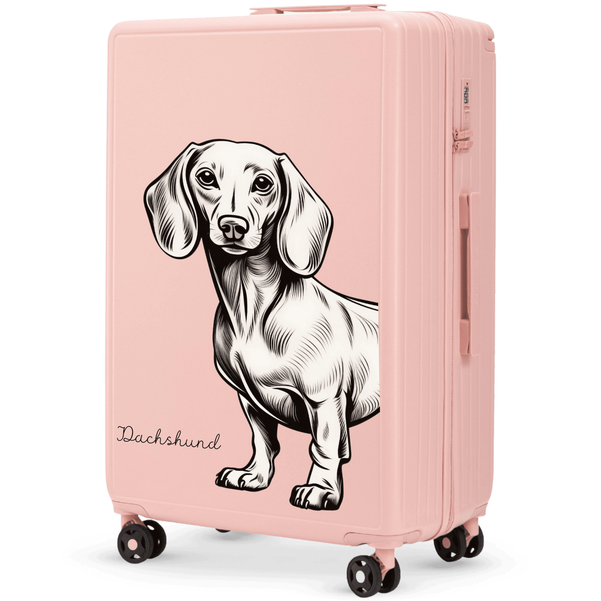 Valigia grande Wings ABS+ 28" Personalizzata SOFT PINK JAMNIK