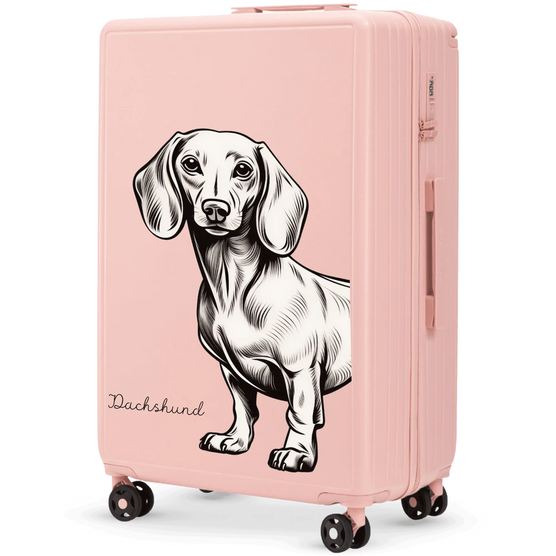 Maleta grande Wings ABS+ 28" Personalizada ROSA SUAVE JAMNIK