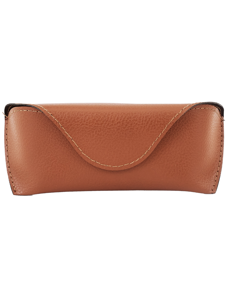 WINGS  rigid magnetic eyeglass case
