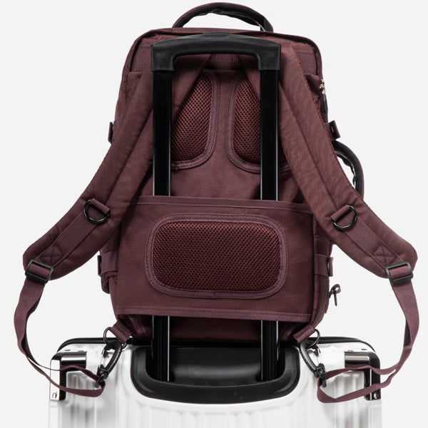 Strap for suitcase frame