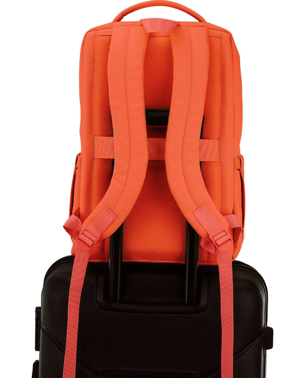Strap for suitcase frame