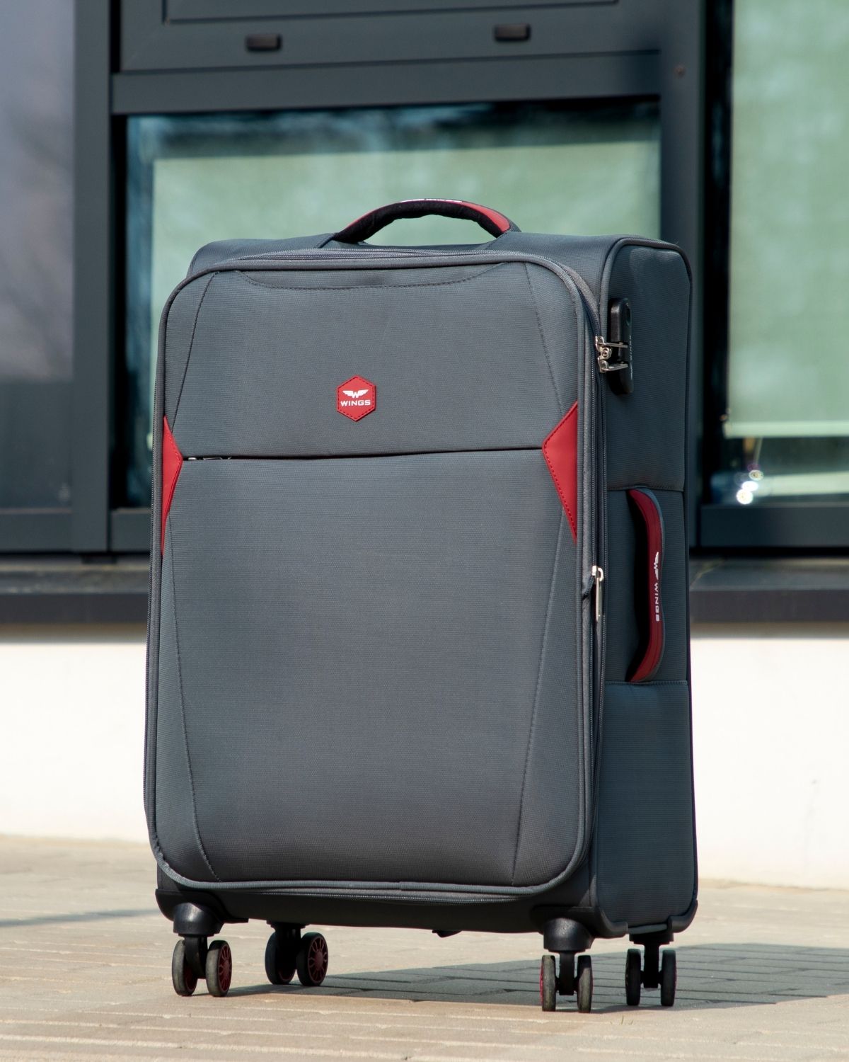 Mittlere weiche Reisetasche DIPPER Wings 24" GRAU