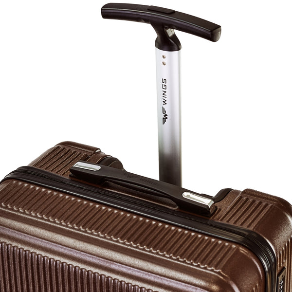 Telescopic handle