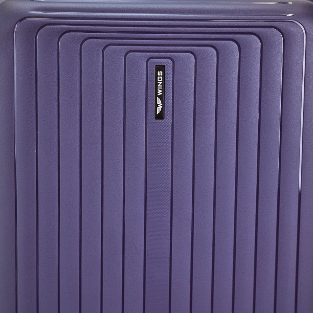 WINGS PUFFIN 20" BLUE CABIN SUITCASE