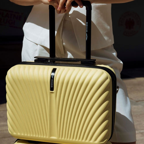 BEAUTY CASE WINGS SWAN 14" ICE CREAM