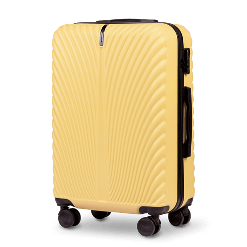 Medium Case WINGS SWAN 24“ ICE CREAM