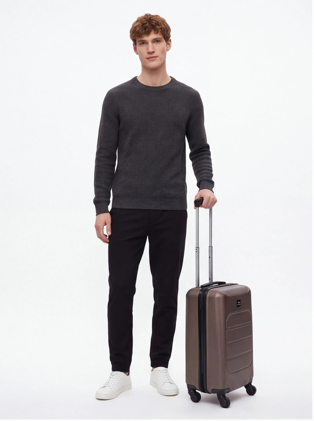 Wings Free Carry-On Suitcase GANNET COFFEE